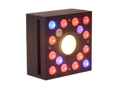 China 65W Full Spectrum LED Grow Lightst, DIY Module design,3W LED Chip,Red+Blue+White+IR for sale