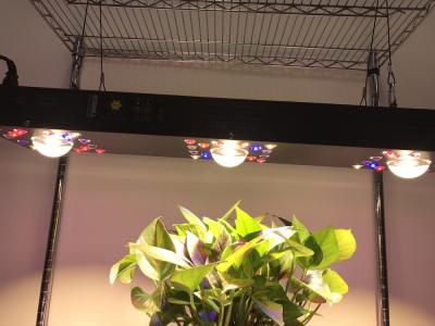 China Dimmable COB LED Grow Light for sale