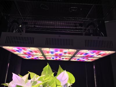 Cina 570W PANNOCCHIA del CREE piena delle luci progressive di spettro LED in vendita