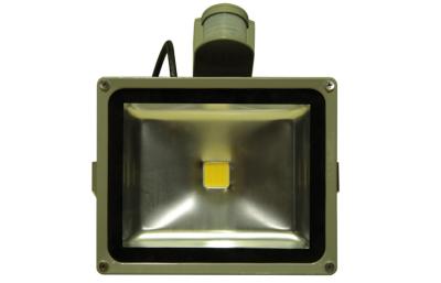 China Cool White 10 W Waterproof LED Flood Light 770Lumen For Outdoor Billboards for sale