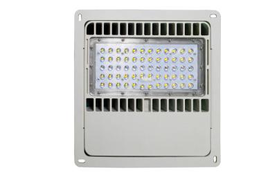 China 130LM/W IP67 100 Watt Led Explosion Lighting Anti-corrosion For Outdoor Canopy for sale