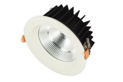 China Cold White Ra 80 10W COB LED Down Light 900LM CREE High Lumens Chips for sale