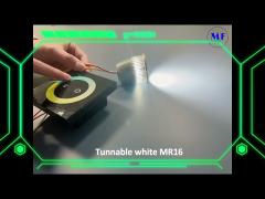 MR16 Module Tunable white