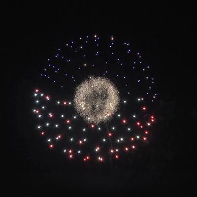 China Liuyang Mandarin Fuegos artificiales 1.3g bola profesional pirotecnia Fuegos artificiales fábrica de 6 pulgadas proyectiles Fuegos artificiales para la venta en venta