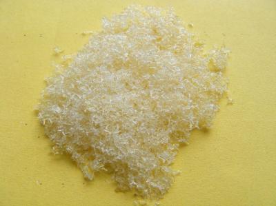 China Tree powder for model tree are tree sponge ,tree foliage spongeT-2025 for sale