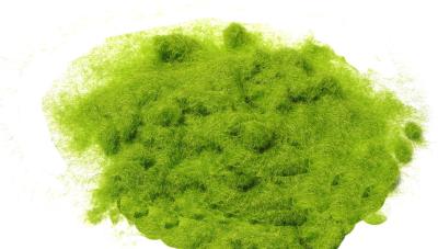 China Tree powder for model tree are tree flock,tree foliage,adhesive flock light green for sale