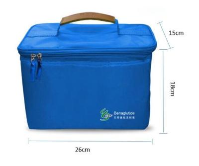 China Nylon Insulin Pen Box Insulin Ice Pack For Retail Chain Stores 26cm*18cm*15cm for sale