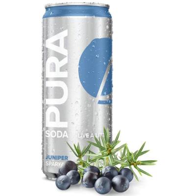 China 300cc botella de agua carbonatada sabor a fruta mini lata de soda 3.6% Brix para almacenamiento en venta