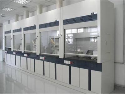 China fume hood with sink|fume hood ventilation|fume hood types for sale
