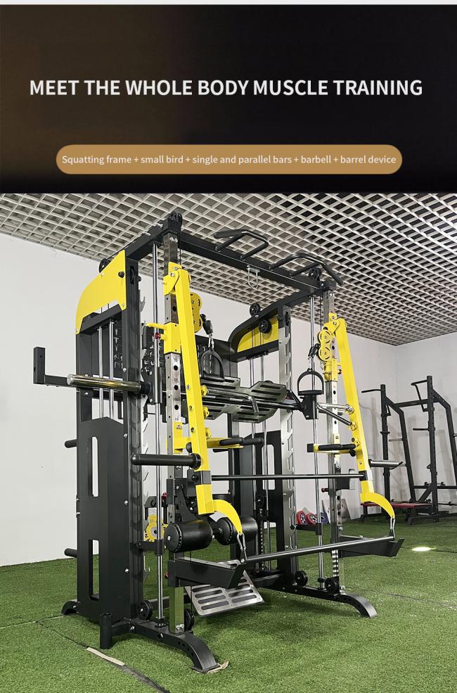 Wholesale Hot Selling Gym and Home Fitness Equipment Smith Machine Squat Rack