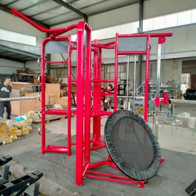 China Adult Gym Equipment Steel Station For Bodybuilding Exercise Synergy 360 for sale