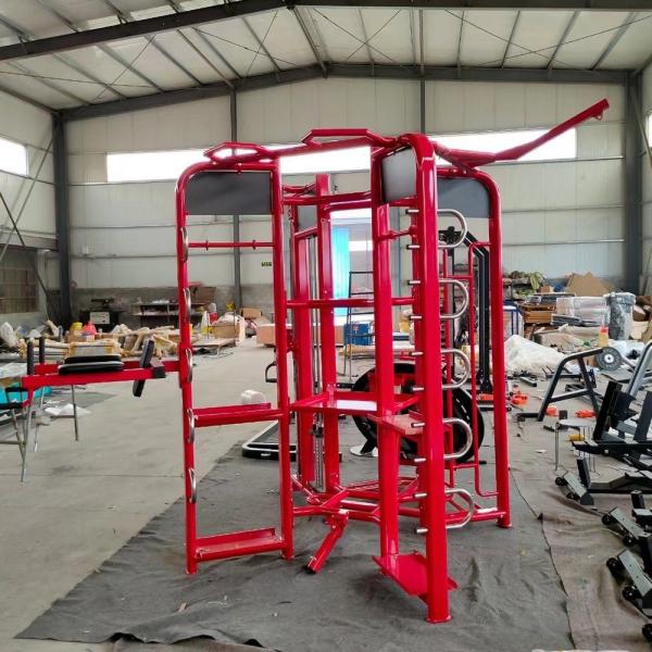 Quality Adult Gym Equipment Steel Station For Bodybuilding Exercise Synergy 360 for sale