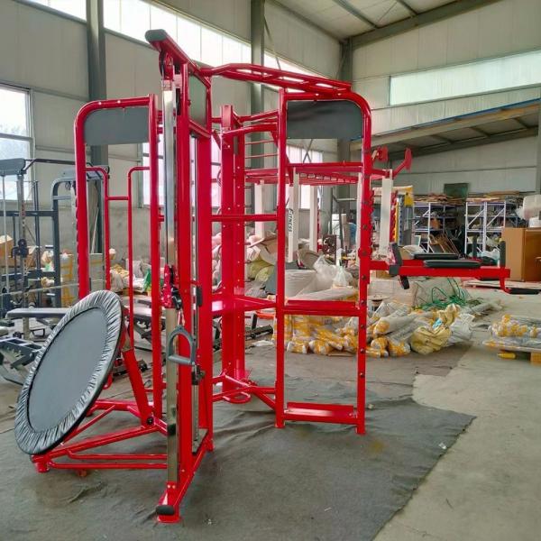 Quality Adult Gym Equipment Steel Station For Bodybuilding Exercise Synergy 360 for sale