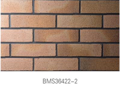 China Low Water Absorption Exterior Thin Brick Durable For Real Estate for sale