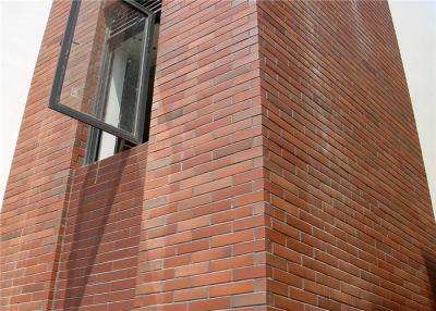 China Solid exterior veneer brick wall wear resistance for house building design for sale