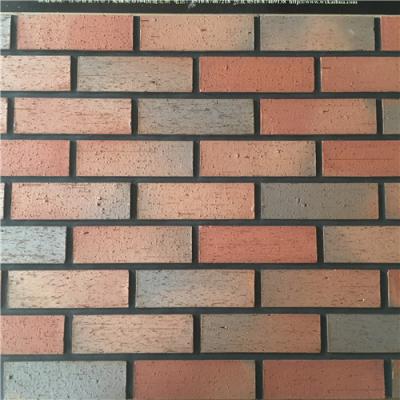 China Building House Clay Exterior Brick Cladding Sintered / Extrusion for sale