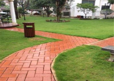 China Outdoor Clay Paving Brick , Solid Interlocking Brick Pavers For Flooring for sale
