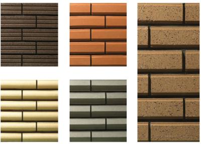 China Plane Surfaces Special Shaped Bricks , Thin Veneer Brick Customized for sale
