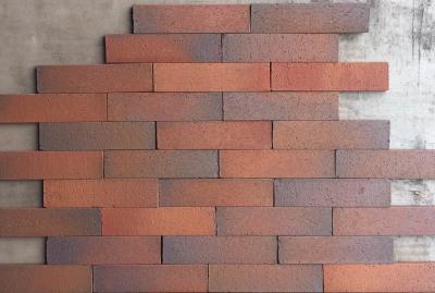 China Outdoor Decorative Thin Clay Bricks Extruded / Sintered For Building Facade for sale