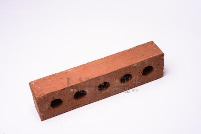 China Five Holes Sintered Clay Hollow Blocks For Building Wall for sale