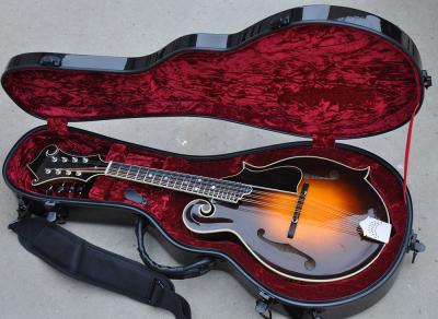 China Handmade custom advanced 8 strings QT-F5 mandolin electric guitar with ebony fretboard for sale