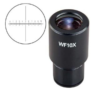 China WF10X wide field  reticle  eyepiece microscope  ocular lens for sale