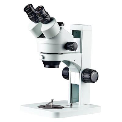 China stereo microscope track stand zoom microscope trinocular with stage plate clips for observing for sale