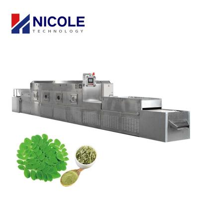 China Secador industrial 3KW - secador de la microonda del SUS 304 de las hojas de 1000kw Moringa en venta