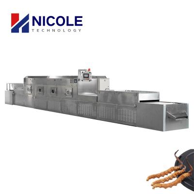 China Big Capacity Microwave Food Sterilization Machine Dryer Customized for sale