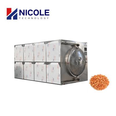 China Environmental Vacuum Microwave Dryer Equipment Silver Color CE Certified for sale