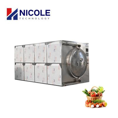 China Microwave Vacuum Fruit Drying Machine Large Capacity Customized for sale