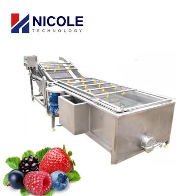 China O CE multifuncional da máquina da limpeza vegetal de fruto da bolha do SUS 304 aprovou à venda