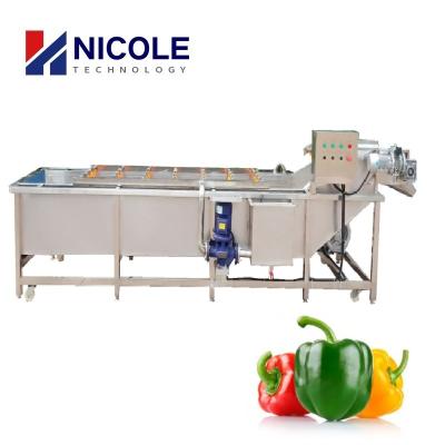 China Small SUS Vegetable Fruit Cleaning Machine Air Bubble Washer Belt Type Customized for sale