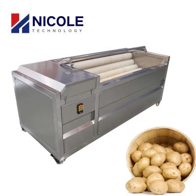 Chine 304 automatiques la machine commerciale de Peeler de la pomme de terre balayent le nettoyage adapté aux besoins du client à vendre