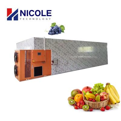 China Automatic Inverter Control Dryer Hot Air For Fruits / Medicinal Herbs for sale