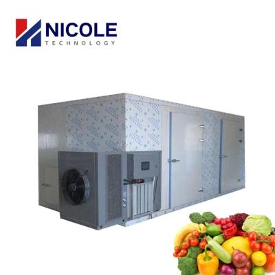 China Commercial Fruit Vegetables Hot Air Drying Machine With Heat Pump for sale