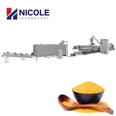 China Stainless Steel Multifunctional Artificial Rice Processing Line 300kg/H for sale