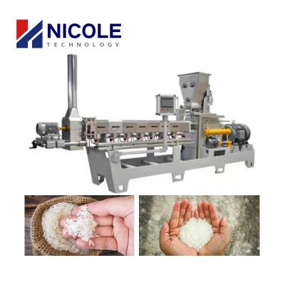 China Stainless Steel 300kg/H Nutritional Rice Making Machine High Productivity for sale