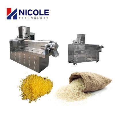 China Double Screw Extrudeed 500kg/H Fortified Rice Making Machine / Production Line for sale