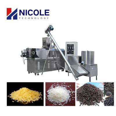 China Nutritional 500-600kg Per Hour Artificial Rice Extruder Machine For Frk Plant for sale