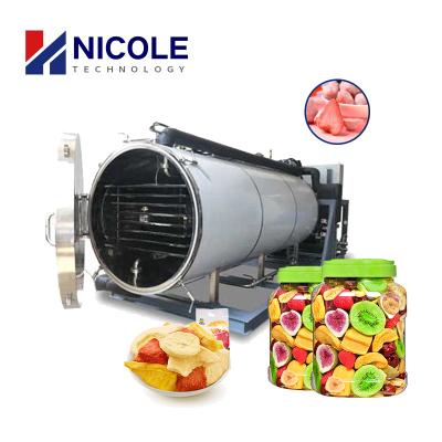 China Fruit Vegetable Vacuum Freeze Dryer Machine Low Consumption High Efficiency 50Kg for sale