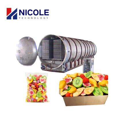 China CE Commercial Use Lyophilizer Beef Vacuum Freeze Dryer For Vegetable And Fruit for sale