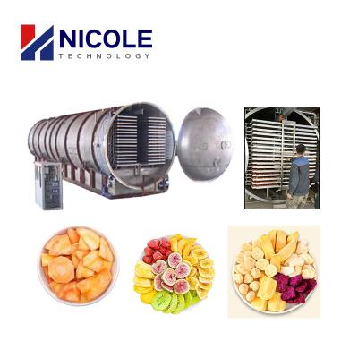 China Industrial Dehydrator Freeze Drying Equipment Vacuum Low Temperature for sale