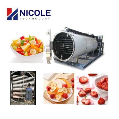 China Vacuum Food Fruit And Vegetable Lyophilization Equipment 380V 415V for sale