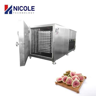 China Industrial Vacuum Pharmaceutical Fruit Freeze Dryer Machine For Food Flower for sale