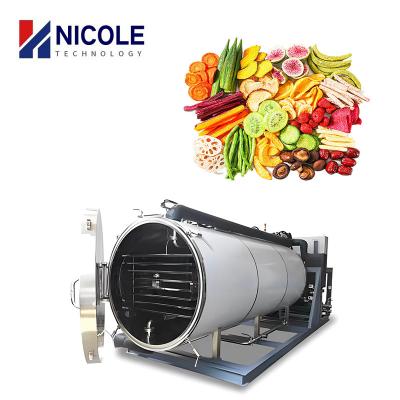 China Industrial Fruit Vegetables Food Vacuum Freeze Dryer Machine 380V for sale