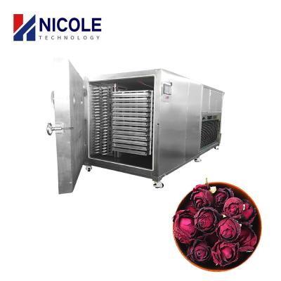 China Customized Plant Food Fruit Flower Vacuum Freeze Dryer Machine CE Certificated for sale