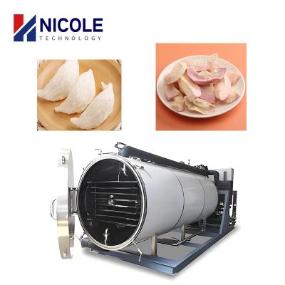 China Rotary Vane Medicine Food Vacuum Freeze Drying Machine Industrial Wide Use for sale