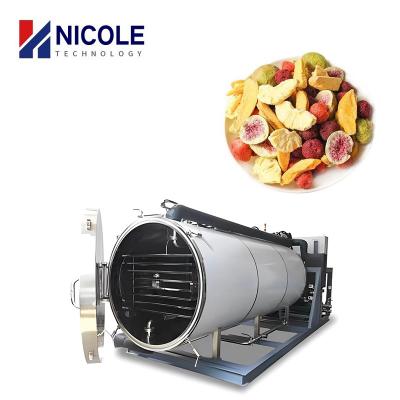 China Meat Vegetable Fruit Lyophilizer Vacuum Freeze Drying Equipment CE Commercial for sale