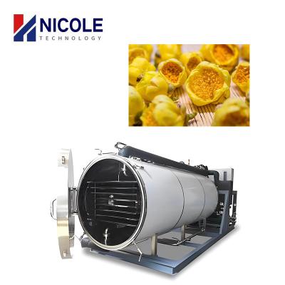 China Food Fruit And Vegetable Vacuum Pump Freeze Dryer Lyophilizer Customised for sale